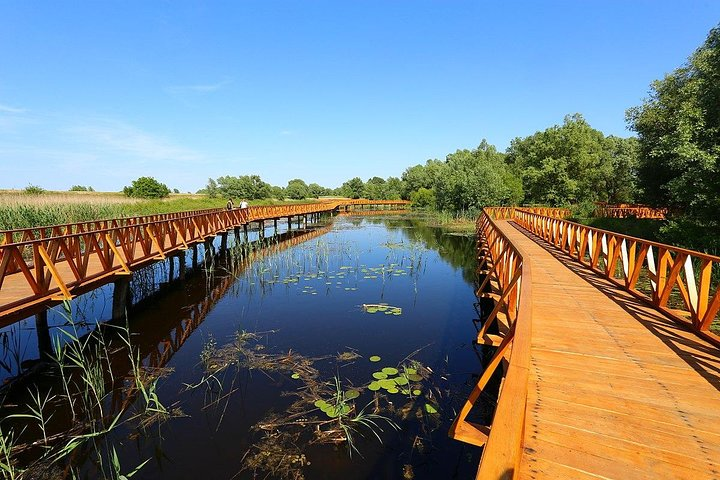 Stunning Kopacki Rit Nature Park Full-day Private Tour from Zagreb - Photo 1 of 9
