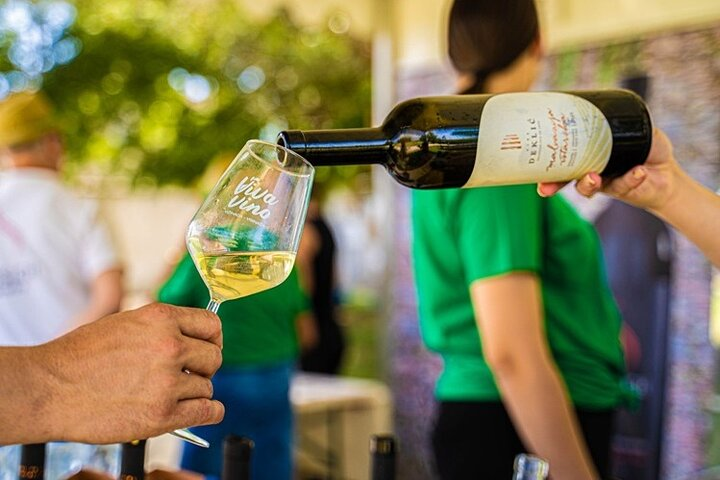 WINE TASTING near Zagreb - drink and eat as much as you can! - Photo 1 of 19
