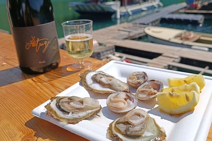 Oysters and clams in the Lim Bay