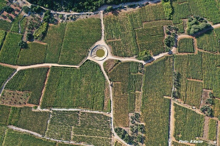 Wine & Sightseeing Tour Korcula - Photo 1 of 15