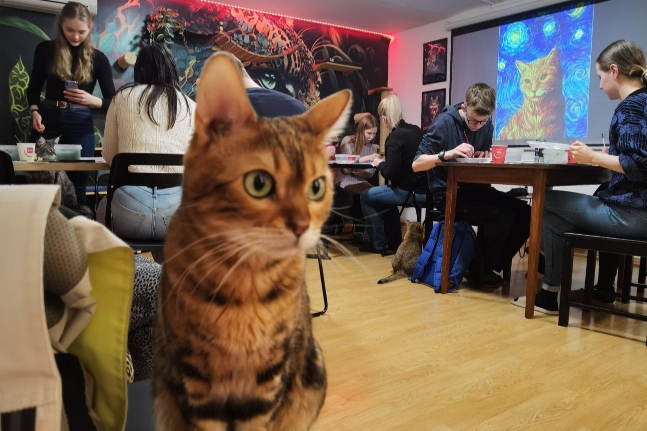 Cat Museum Budapest: Guided Acrylic Painting Workshop - Photo 1 of 10