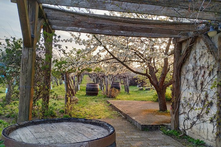 ETYEK wine trip - Just a stone’s throw away from Budapest - Photo 1 of 3