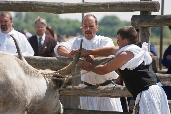 Nine Span Bridge Fair at Hortobagy