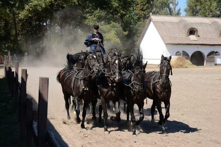 Horseshow on the puszta, the legendary Puszta Five
