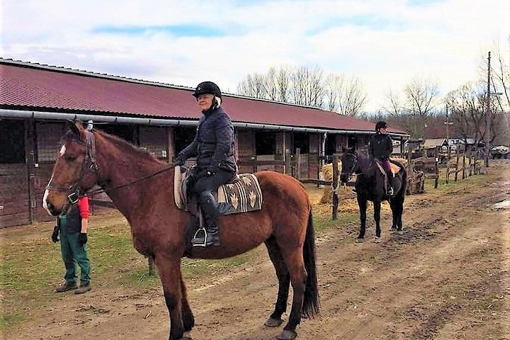 Private Horse Riding in the countryside and lunch with transport - Photo 1 of 11