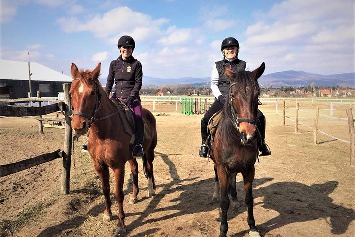 Private Horse Riding near Budapest with transport - Photo 1 of 7