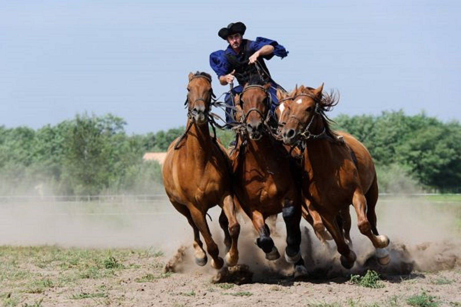 Puszta Full-Day Tour from Budapest including Horse Show & Lunch - Photo 1 of 6