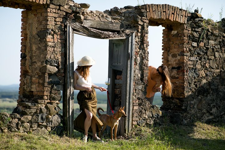 Volcanic Wines of Hungary Half-Day Tour from Budapest - Photo 1 of 7