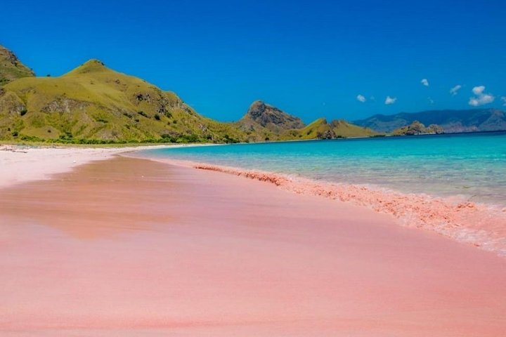 1 Day Komodo Trip by Private Speedboat - Photo 1 of 25