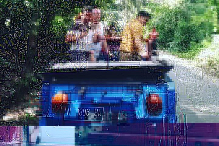 1 Hour VW Explore Ubud - Ubud VW Tour - Photo 1 of 14