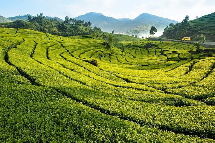 Rolling green hills and tea plantations invite exploration creating the perfect backdrop for immersing in local culture and savoring the picturesque landscapes of Bandung and Jakarta.