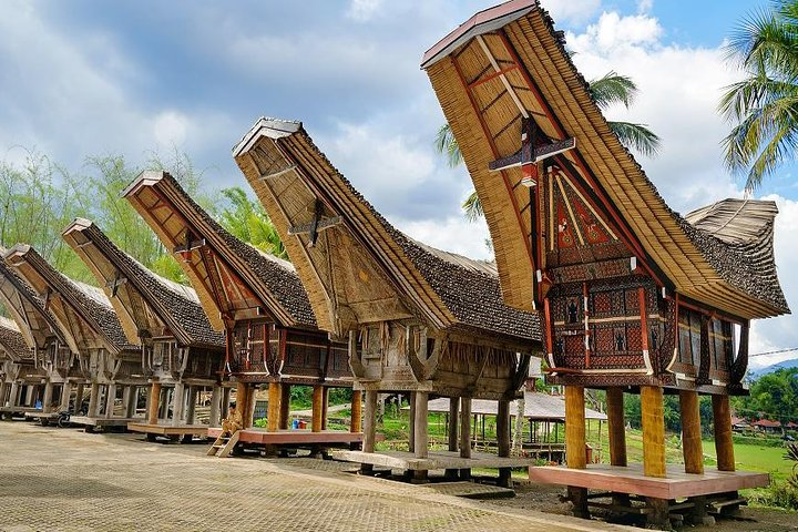 4 Days Toraja Cultural Tour from Makassar: Tongkonan Houses to Toraja Funerals - Photo 1 of 9