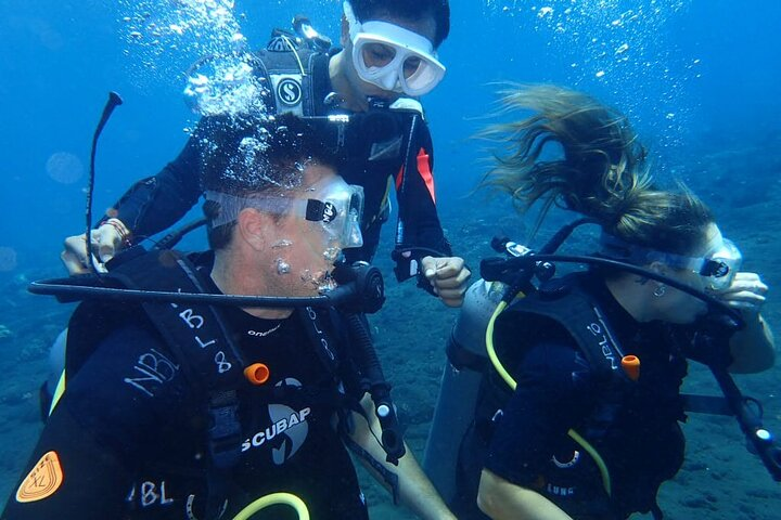 4-Hour Tulamben Private Diving USAT Liberty Ship Wreck and Coral - Photo 1 of 8