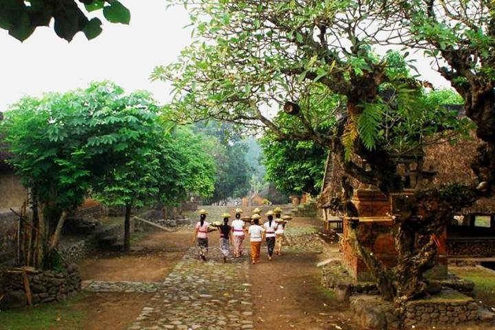 A Cultural Journey In East Bali: Bali Aga Trekking Tour - Photo 1 of 10