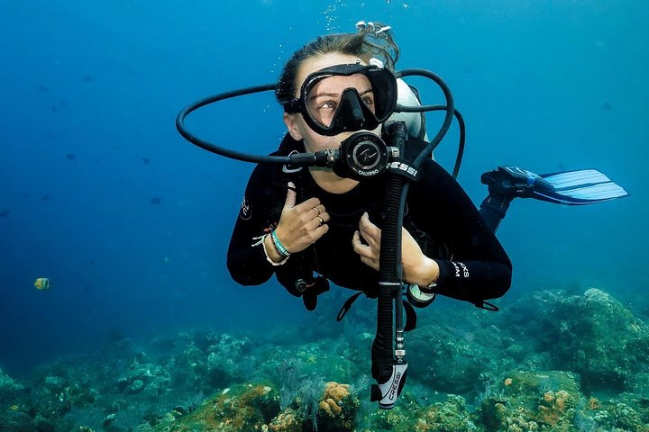 Advanced Open Water Course - Advanced Certification in Tulamben - Photo 1 of 25