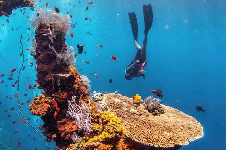 All Inclusive Bali Scuba Diving at Tulamben with Lunch -Transport - Photo 1 of 20