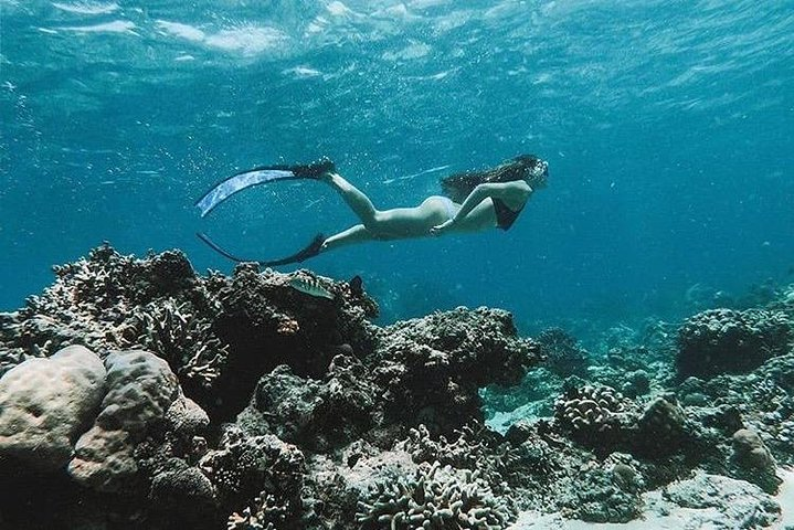 All Inclusive Snorkeling at Blue Lagoon with Lunch  - Photo 1 of 10