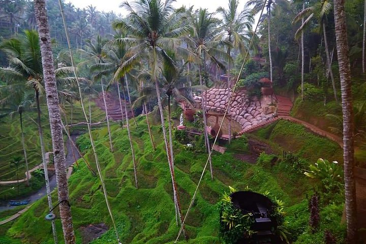 All Inclusive "Ubud ATV Ride, Rice terrace view & Ubud Swing - Photo 1 of 9