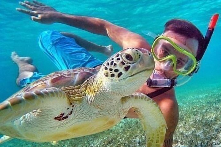 Bali : Blue Lagoon Snorkeling combine with Bali Swing in Ubud - Photo 1 of 25