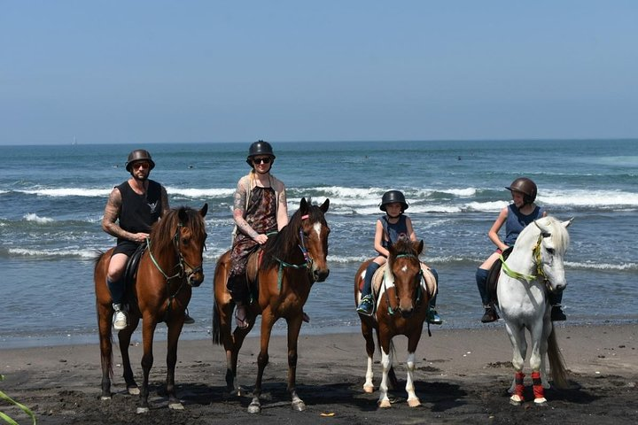 Horse riding on the beach