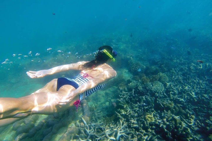 Amazing Snorkeling in Bali - Photo 1 of 9