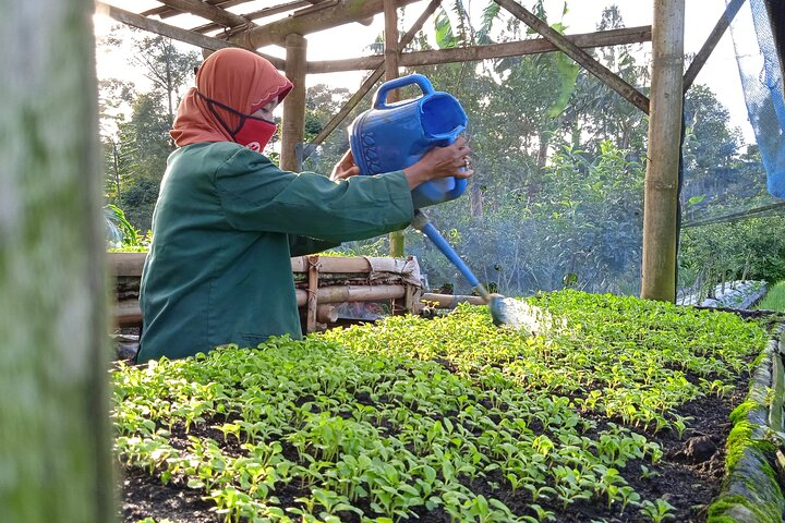 Around Bromo Farming Experience - Photo 1 of 5