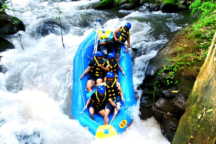 Ayung River Rafting and Ubud Waterfall Tour