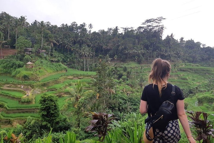 Bali All Inclusive Tour, Ubud Rice Terrace, Temple and Volcano - Photo 1 of 15