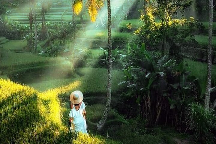 Tegalalang Rice Terraces