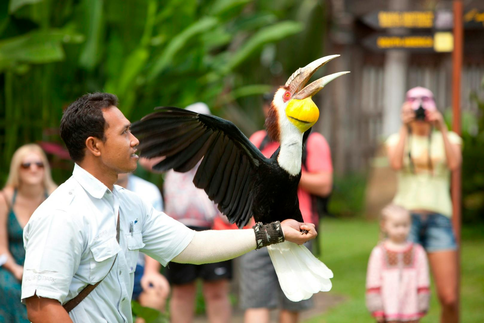 Bali Bird Park: Admission Ticket - Photo 1 of 5