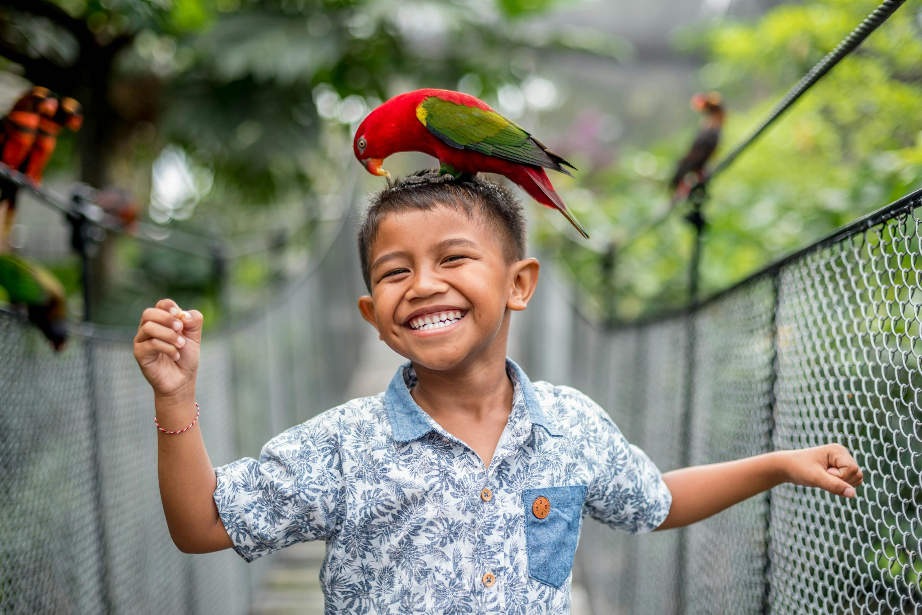 Bali Bird Park: Admission Ticket - Photo 1 of 5