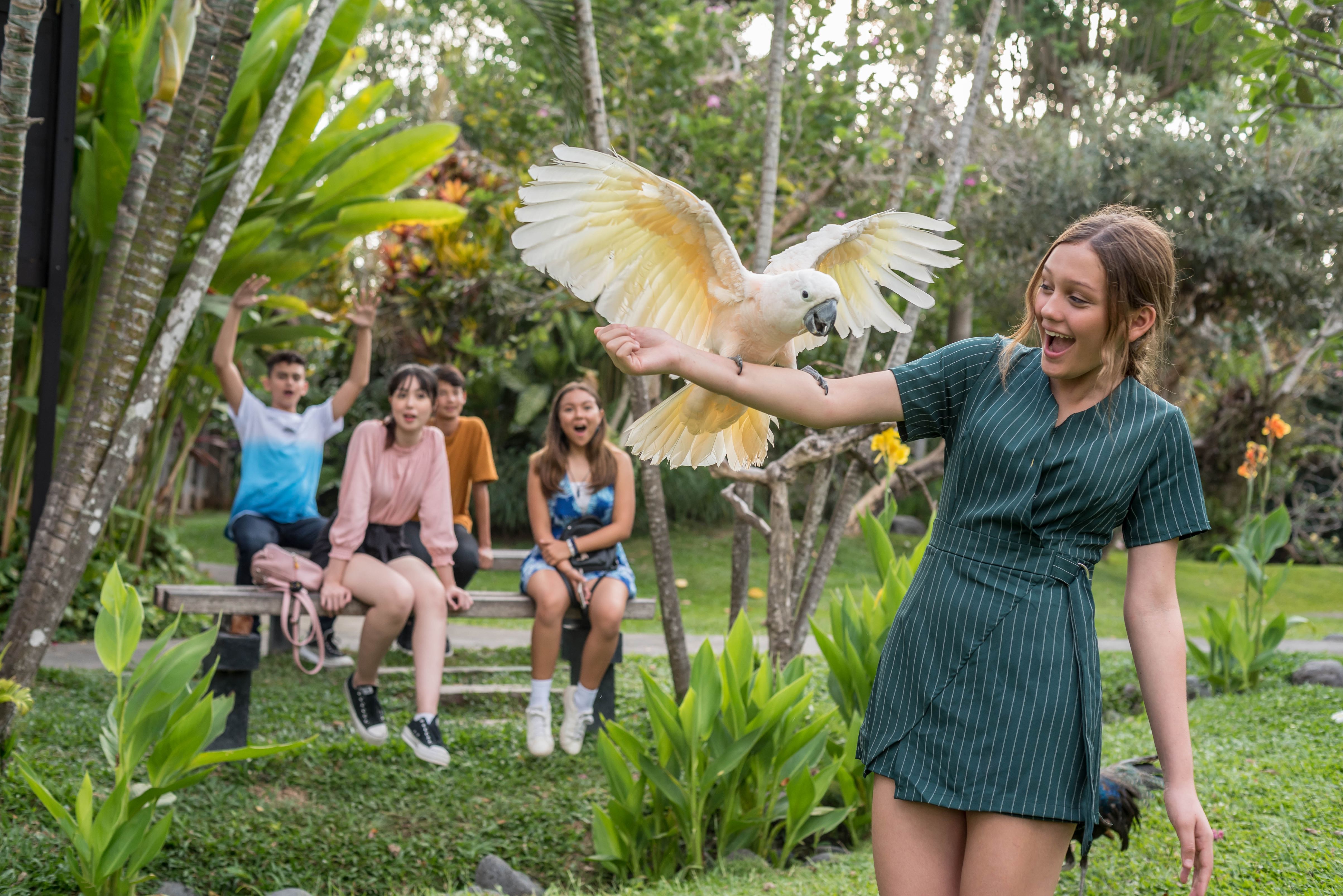 Experience the joy of interacting with exotic birds in a lush setting where stunning macaws and charming cockatoos create unforgettable memories amidst tropical plants and serene landscapes.