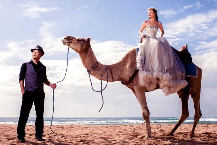 Bali Camel Ride on the Beach with Photo Session - Photo 1 of 8