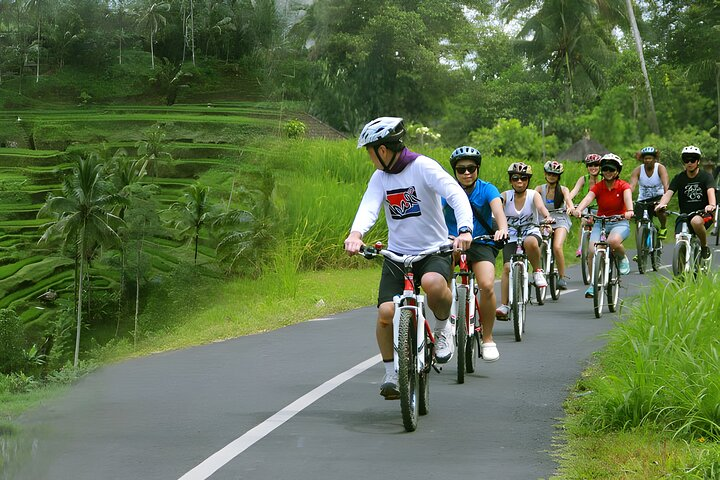 Bali Cycling and Jungle Swing Adventure