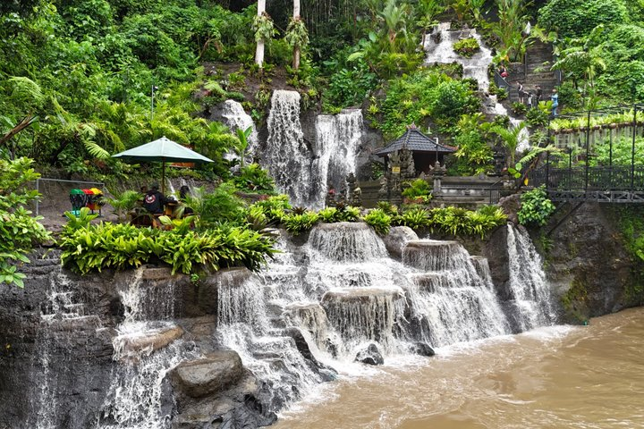 Ubud Shore Excursion Culture & nature Tour From Benoa Port - Photo 1 of 9