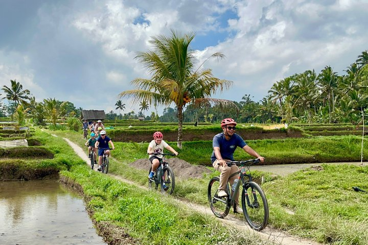 Bali Natural Downhill Cycling Tour With Volcano Visit - Photo 1 of 25