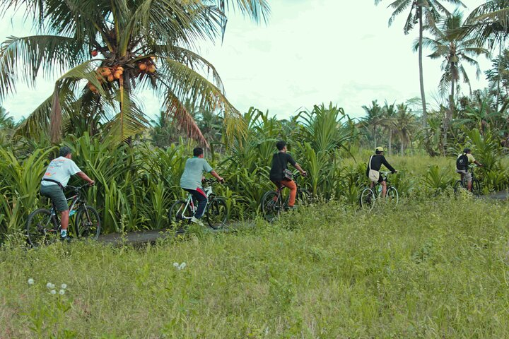 Bali Countryside Eco Cycling Tour include Lunch - Photo 1 of 11