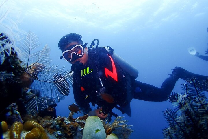 Bali Diving