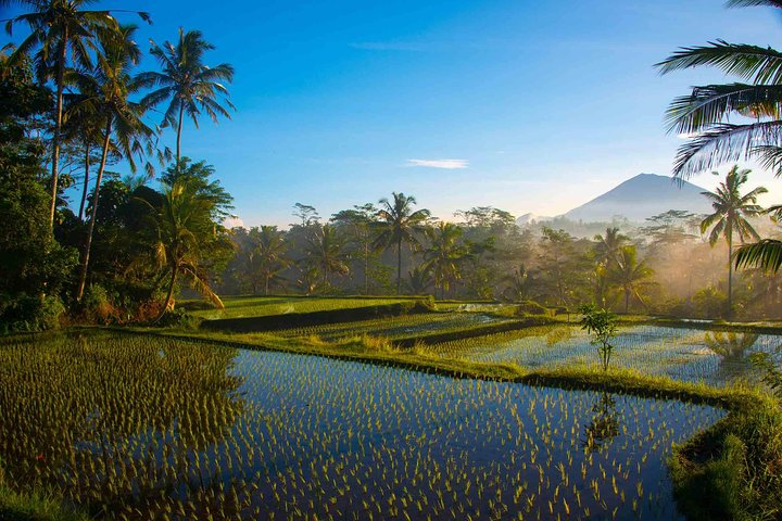 Morning of Bali