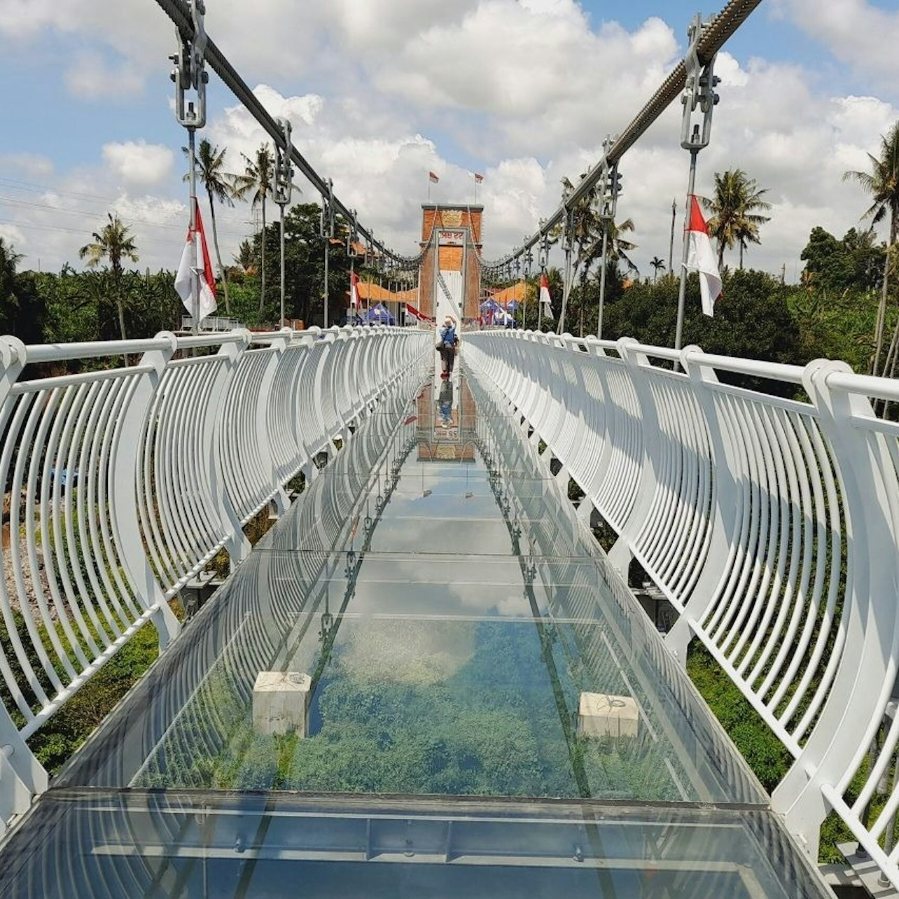 Experience the stunning Bali Glass Bridge where walking on a transparent path offers breathtaking views of lush valleys and forests perfect for adventurers and nature enthusiasts.