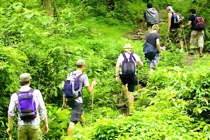 Bali Jungle Trekking, Hidden Hills, Twin Waterfall, Temple Tour
