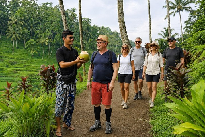 Bali Private Car & Minibus Hire with Local Host - Photo 1 of 15