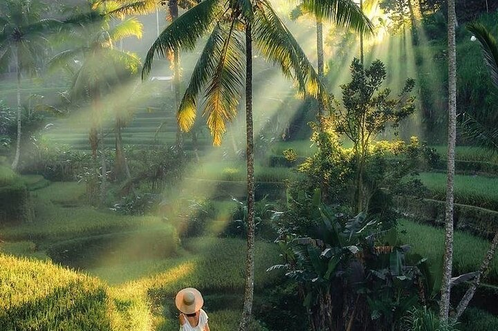 Bali Customized Tour Private Car and Driver  - Photo 1 of 25