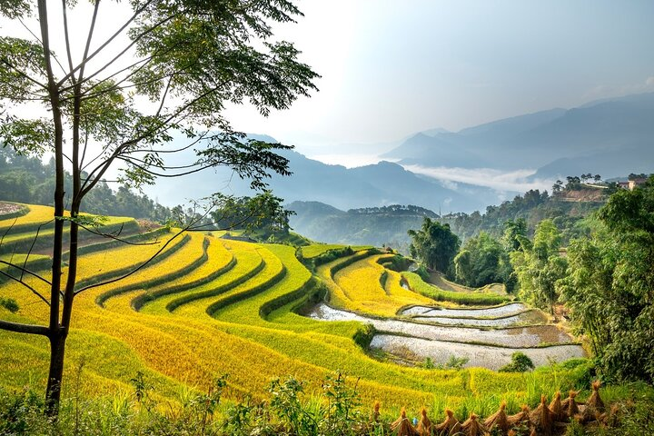 Jatiluwih rice field in bali