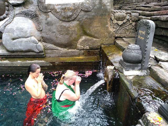 Experience a transformative journey at Tirta Empul temple where ancient waters flow freely and participants immerse themselves in a sacred purification ritual rejuvenating body and spirit.