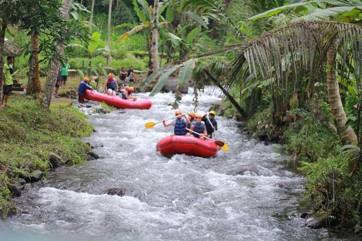 Experience an unforgettable day in Ubud where adventure flows on the river and excitement soars through the trees blending water and aerial fun seamlessly amidst stunning tropical landscapes.