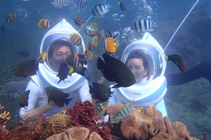 Capture Sea life