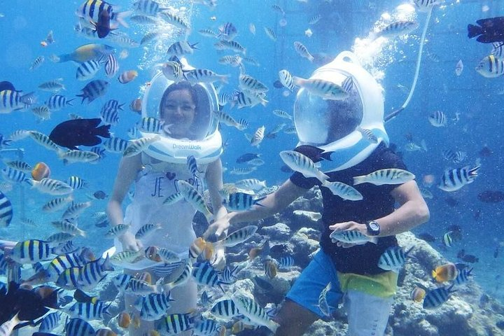 Bali Sea Walker Water Sport Nusadua - Photo 1 of 15