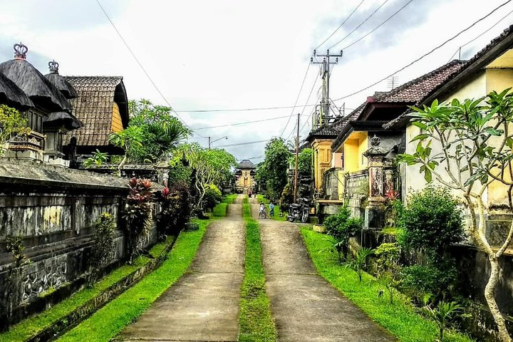 Bali Traditional Village Experience - Photo 1 of 18