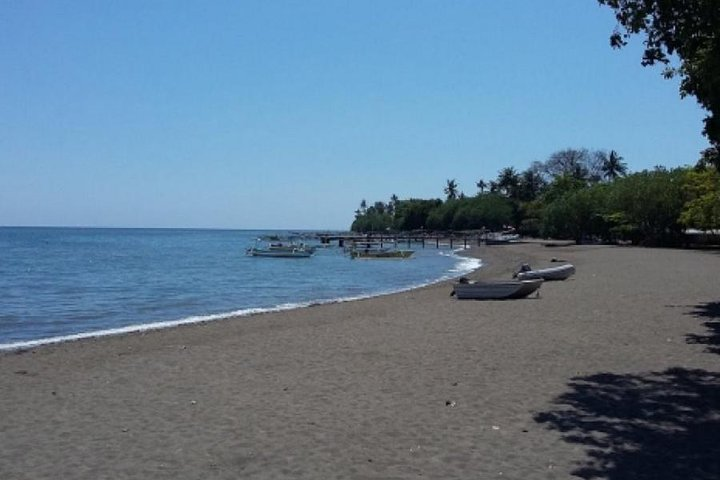 Bali One Day Tour : Rice Terrace, Monkey Forest and Waterfall  - Photo 1 of 4